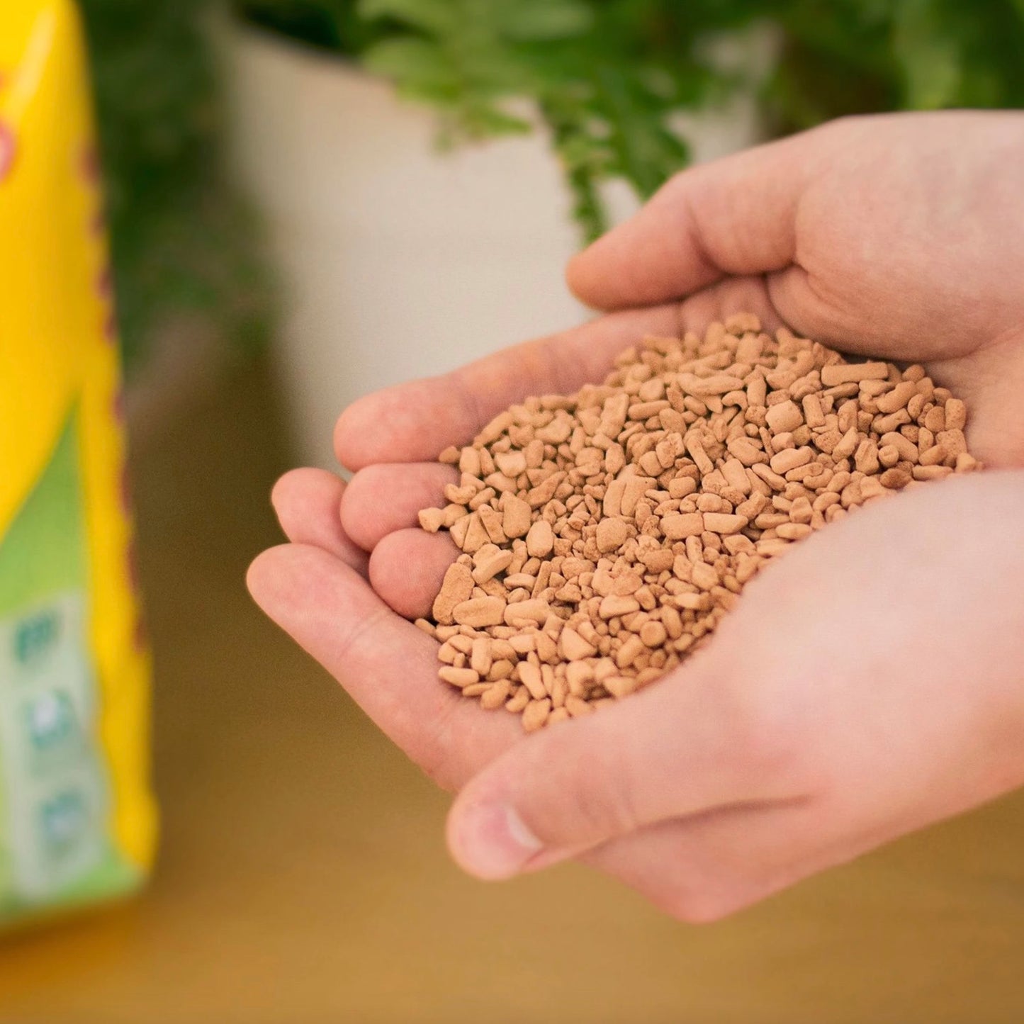 Granule ceramice Seramis pentru plante de interior la sac de 2,5l
