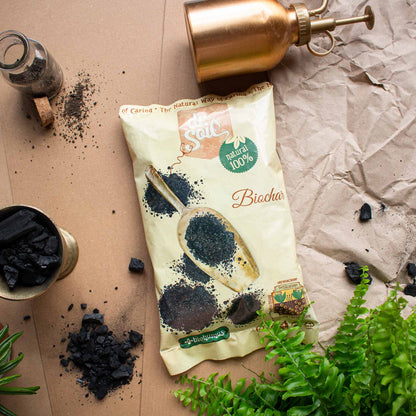Biochar Dr.Soil, carbune vegetal activat pentru horticultura la punga de 1L