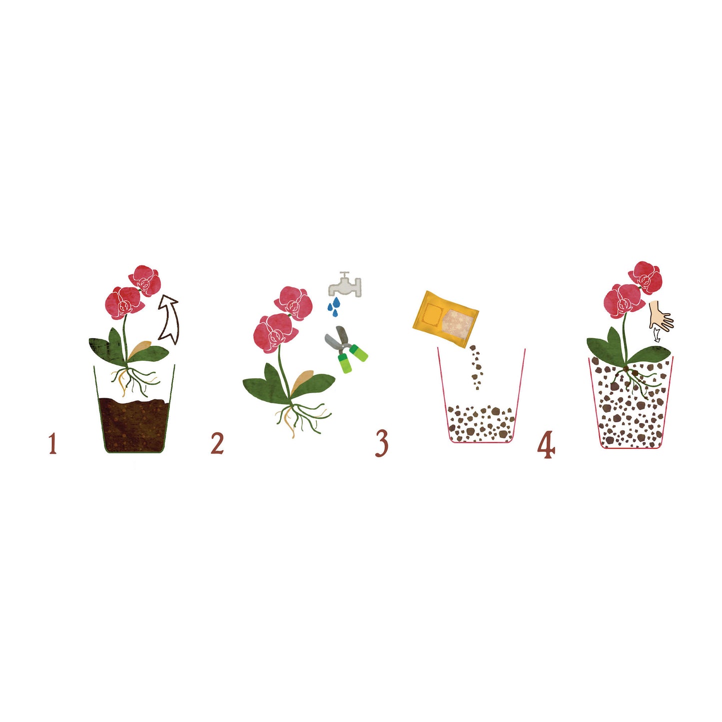 Substrat natural Dr.Soil pentru orhidee Phalaenopsis la punga de 1L