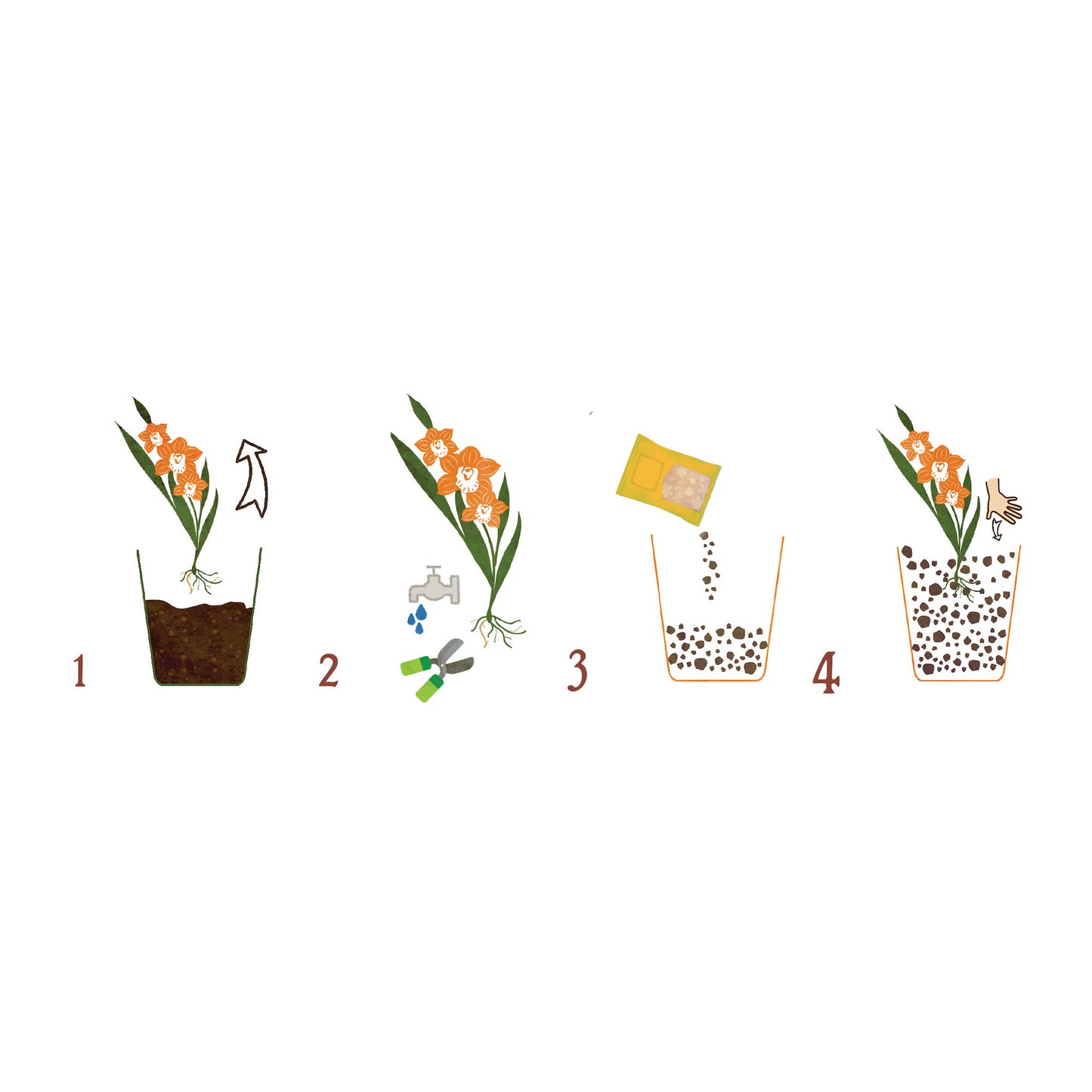 Substrat natural Dr.Soil pentru Cymbidium si orhidee pseudobulboase la punga de 1L