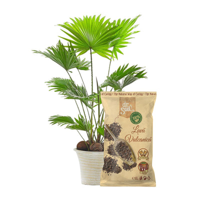 Lava Vulcanica Dr.Soil pentru amestecuri si decoratiuni, la punga de 1L